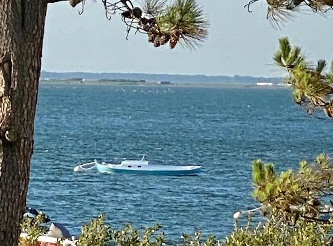 Apartman L'ocean Vue Bassin 1ere Ligne Pereire Vue *