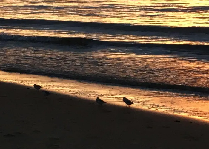 L'ocean Vue Bassin 1ere Ligne Pereire Vue Apartman